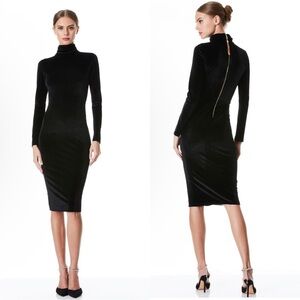 Alice + Olivia Delora Velvet Tassel Back Midi Dress